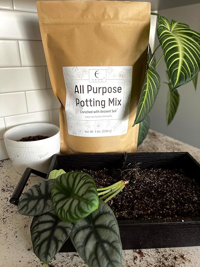 Elm Dirt Potting Soil Indoor & Outdoor Plants - All Purpose Potting Mix Ancient Soil for House Plants | Premium Nutrition for Garden Soil - All Purpose Formula for Vegetables, Flowers and Herbs(5 lbs)
