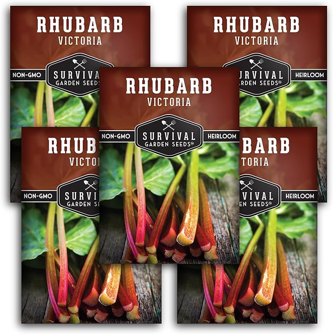 Victoria Rhubarb Seeds for Planting - Grow Cold-Tolerant Perennial Spring Fruit/Vegetables in Your Home Garden - Non-GMO Heirloom Variety - Survival Garden Seeds (5 Packs)
