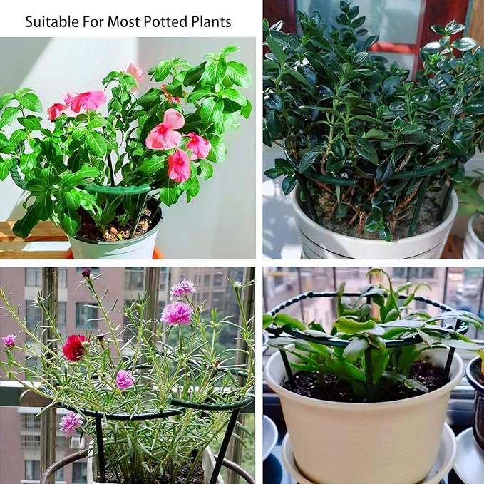 Belit 8 Pack Plant Supports for Small Plants, Garden Flowers Green Plant Support Ring, Planter Support Ring for Schlumbergera, Clivia, Succulents, 5.5" Wide x 5.9" High