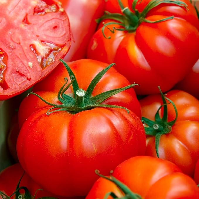 Organic Tomato Seeds (Ponderosa Red Beefsteak) - Approx 75 Seeds - USDA Organic, Non-GMO, Open Pollinated, Heirloom, USA Origin