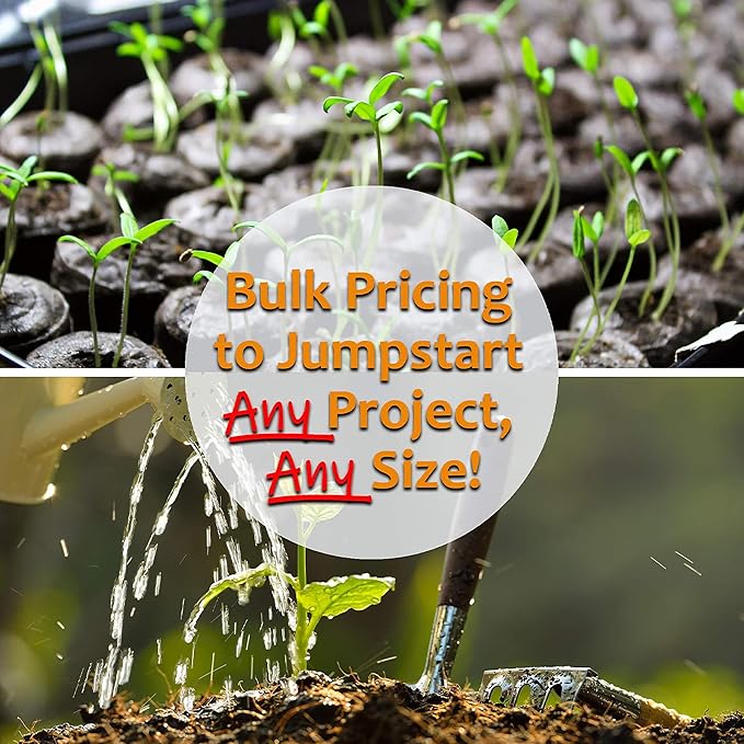 Companion Planting Seed Assortment – 12 Pack