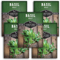 Survival Garden Seeds - Holy Basil Seed for Planting - 5 Packets with Instructions to Plant and Grow The Indian Sacred Herb Tulsi in Your Home Vegetable Garden - Non-GMO Heirloom Variety - Plant Seed