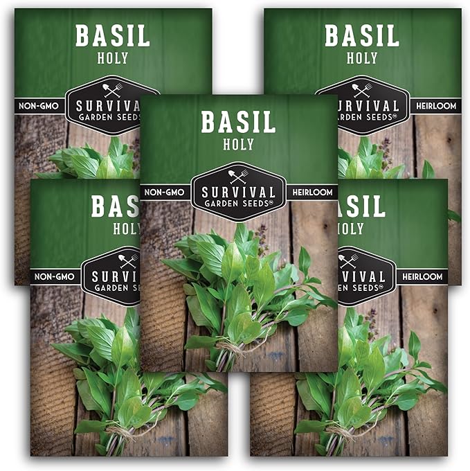 Survival Garden Seeds - Holy Basil Seed for Planting - 5 Packets with Instructions to Plant and Grow The Indian Sacred Herb Tulsi in Your Home Vegetable Garden - Non-GMO Heirloom Variety - Plant Seed