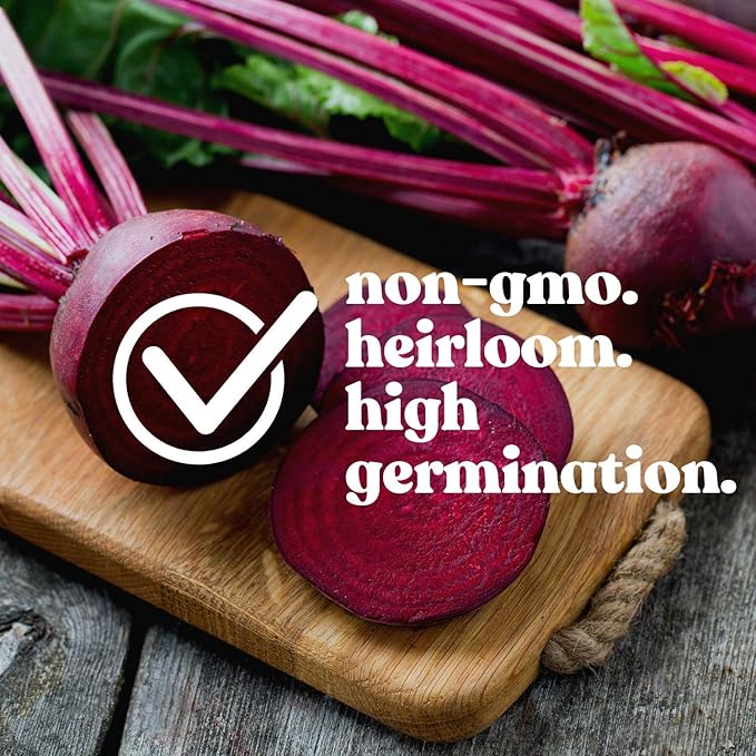 Ruby Queen Beet Seeds - 3 g Packet ~125 Seeds - Non-GMO, Heirloom - Vegetable Garden, Root Crop, Microgreens, Canning, Pickling