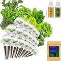 inbloom Salad Green Seed Pod Kit for AeroGarden, Ahopegarden, GARDENCUBE, MUFGA, 18 Pods (350+ Seeds with American Fast/Paris Island/Buttercrunch Lettuce, Swiss Chard, Spinach, Cauliflower, Cabbage)