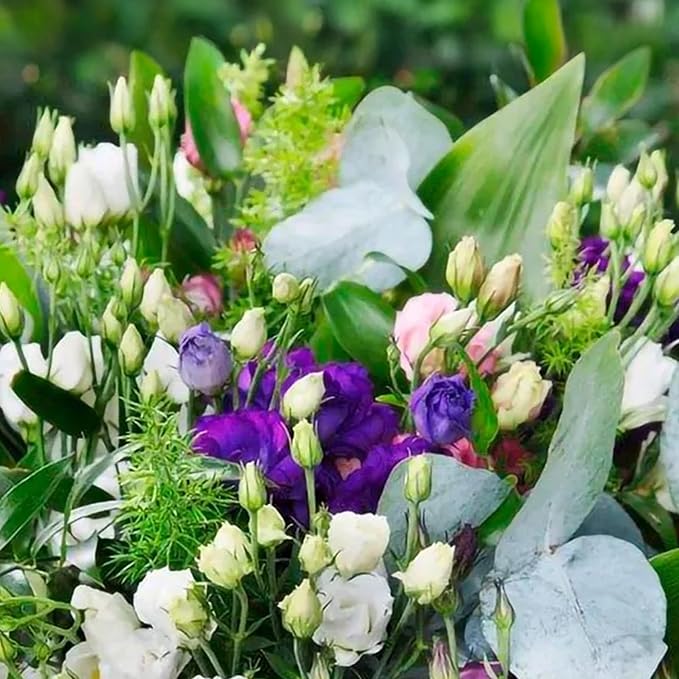 Park Seed Lisianthus Flowering Planting Seeds, Easy to Grow, Variety of Colors and Sizes, Spring Garden, Minilisi Mix, Pack of 25