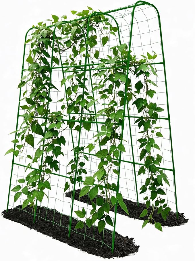 Cucumber Trellis - 62.4"*50" Cucumber Trellis for Raised Bed with Plastic-Coated Steel Pipe, U-Shape Garden Trellis for Climbing Plants, Garden Trellis for Cucumbers, Beans(Green)