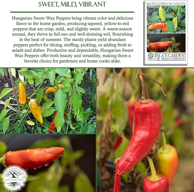 Hungarian Sweet Wax Pepper Seeds (Capsicum annuum) – 100+ Heirloom Non-GMO Seeds by Isla's Garden Seeds, Mild and Flavorful Peppers, Ideal for Fresh Eating, Pickling & Cooking, Great Gardening Gift