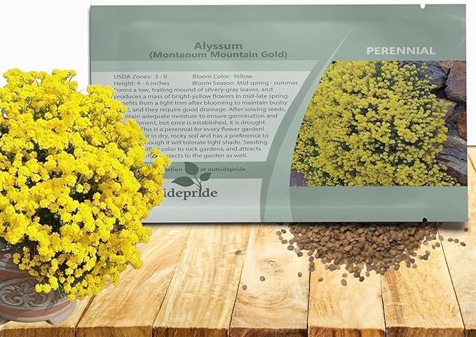 Outsidepride Mountain Gold Alyssum Seeds - 5000 Pcs Perennial, Drought-Tolerant & Pollinator-Friendly Ground Cover Seeds w/Fragrant Yellow Blooms for Low-Growing Xeriscaping & Outdoor Planting