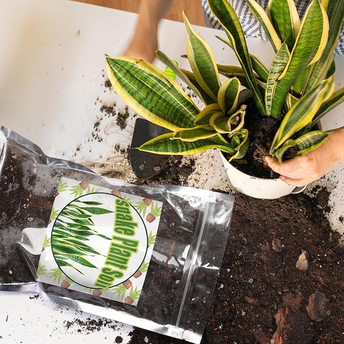 Premium Snake Plant Soil Mix 1qt, Indoor Plants Potting Mix for All Potted Snake Plants, Promote Healthy Growth and Easy Care, black