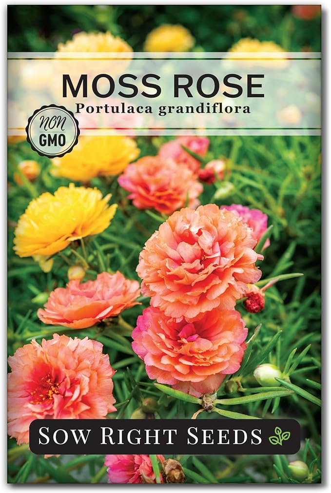 Sow Right Seeds - Moss Rose Seeds for Planting - Portulaca Grandiflora Mix - Double Flower Purslane - Non-GMO Heirloom Variety - Easy to Grow Outdoors - Colorful Annual for Garden & Containers (1)