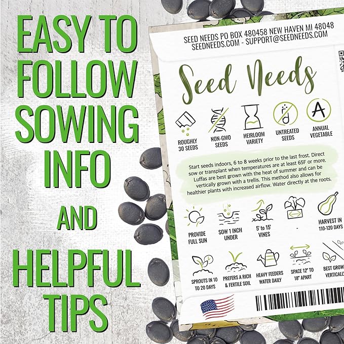 Seed Needs Luffa Seeds for Planting Loofah Sponge Gourds - Non-GMO Heirloom & Untreated Veggie Seed to Plant a Home Grown Outdoor Vegetable Garden (1 Pack)