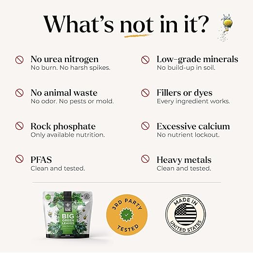 Big Green Leaves Indoor Plant Food – 4X Concentrated Houseplant Fertilizer with Sea Kelp – Makes 90 Gallons – Fast-Acting Mineral Formula, Made in USA (1 lb)