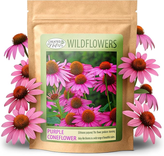 Created by Nature Purple Coneflower Seeds, 3,800 Perennial Flower Seeds, Deer-Resistant Perennial Wildflower Seeds
