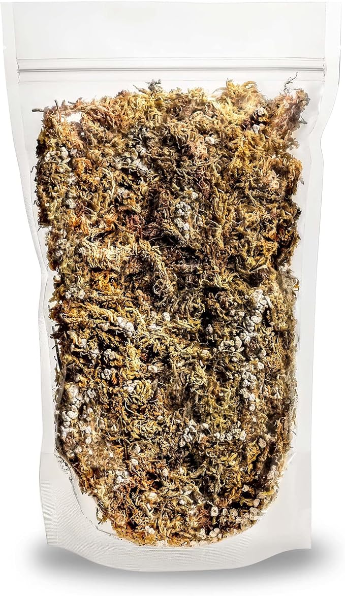 Gardenera Sphagnum Moss Potting Mix for Carnivorous Plants, Moss and Perlite Blend for Potting Venus Fly Traps, Sarracenia, Pitcher Plants - 75% Sphagnum Moss + 25% Perlite - Made in USA - 2 Quart