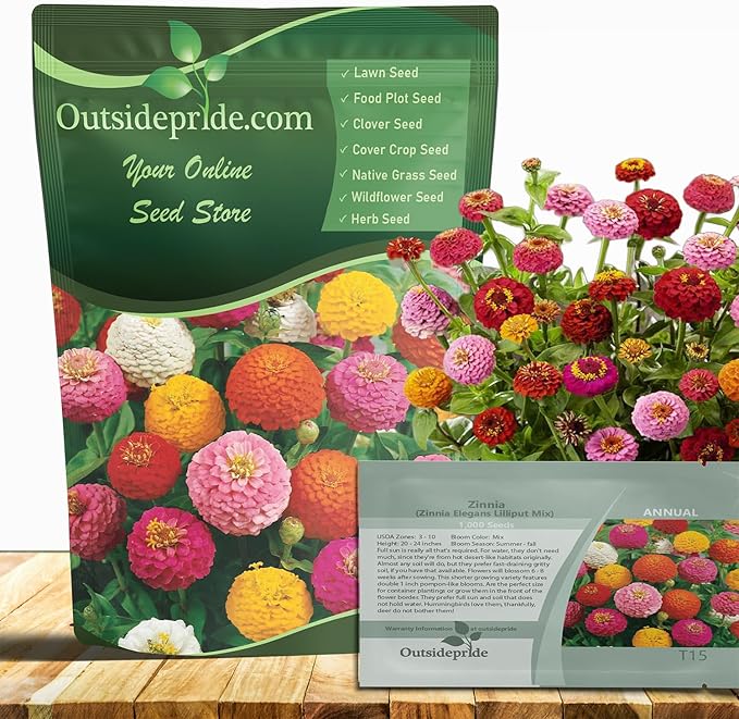 Outsidepride Zinnia Seeds - 1/4 Lb. Annual Blend of Hardy Compact Mixed Color Ball-Shaped Blooms for Planting in Outdoor Containers, Borders, Flower Beds, Cutting Gardens & Pollinator-Friendly Spaces