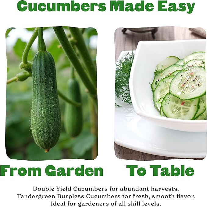 Epic Gardening Cucumber Seed Bundle - 2 Non-GMO Varieties, Includes Double Yield & Tendergreen Cucumbers, Perfect for Salads, Snacking or Pickling, Great for Backyard or Raised Bed Gardens