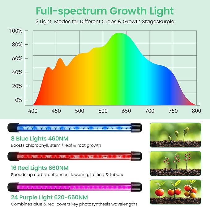 2 Pack 80 Cells Seed Starter Tray with Grow Light & Heat Mat, Plant Seed Starter Kit with Humidity Domes, Automatic Timer, and Adjustable Brightness for Indoor Greenhouse Gardening