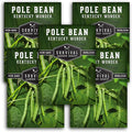 Survival Garden Seeds - Kentucky Wonder Pole Bean Seed for Planting - 5 Packets with Instructions to Plant and Grow Green Snap Beans in Your Home Vegetable Garden - Non-GMO Heirloom Variety