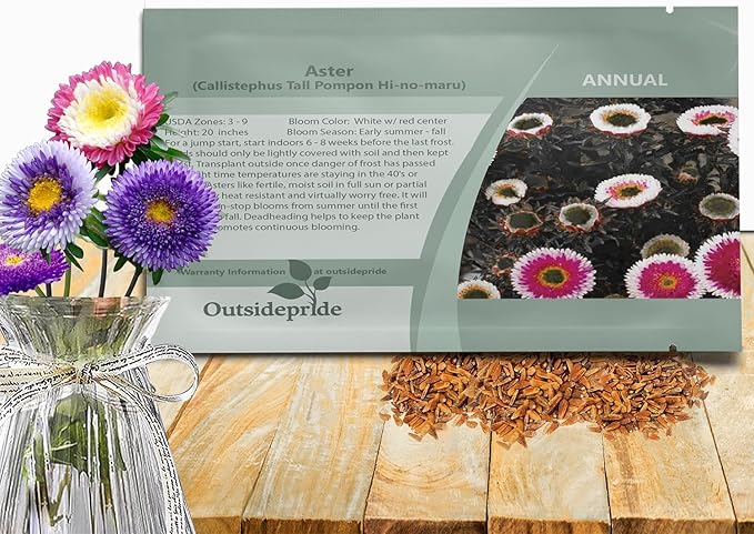 Outsidepride Tall Pompon Hi-no-Maru Aster Seeds - 1000 Pcs. Annual, Hardy & Pollinator Friendly Flower Seeds for Planting Vibrant Disc-Shaped White-Red Blooms, Ideal for Meadows & Aesthetic Gardens