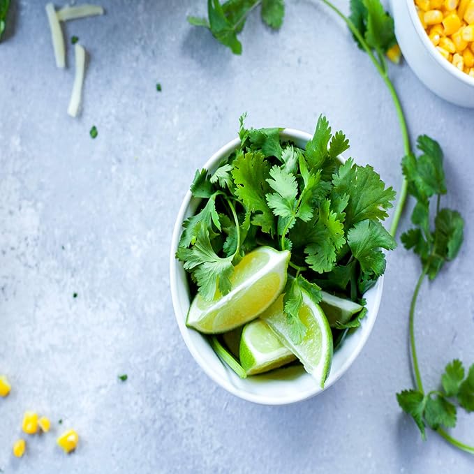 Organic Cilantro Seeds – 3g (~215 Seeds)