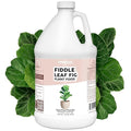Fiddle Leaf Fig Plant Fertilizer – Liquid Plant Food for Bigger Leaves, Stronger Roots & Healthy New Growth, 1 Gallon