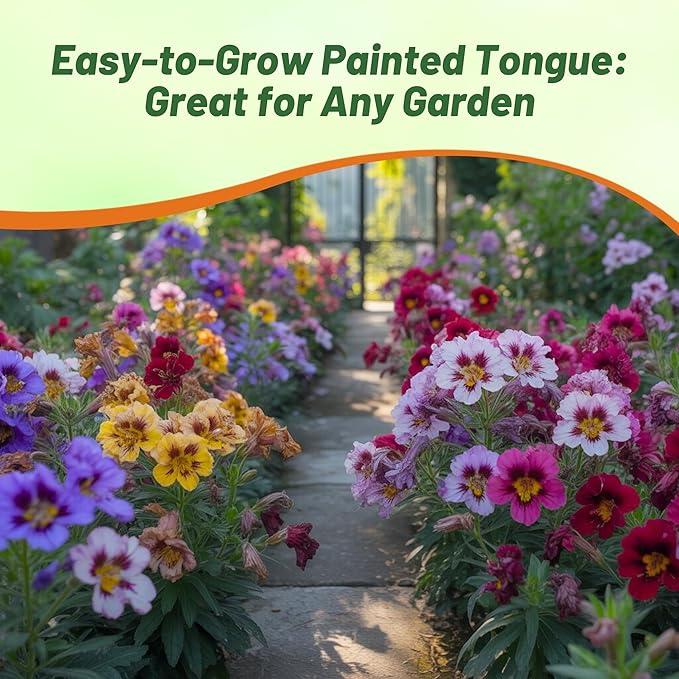 Outsidepride Painted Tongue Salpiglossis Seeds - 5000 Pcs. Annual, Versatile & Pollinator Friendly, Flower Seeds for Planting Vibrant Trumpet-Shaped Mixed Blooms for Garden Beds & Cut Flower Bouquets