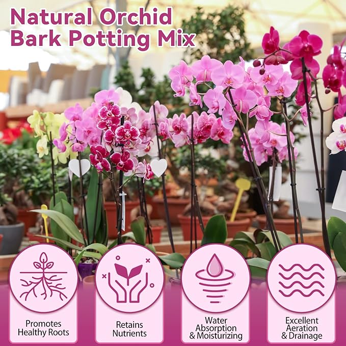 Riare 1QT Orchid Potting Mix, Natural Orchid Bark Potting Mix Soil Medium with Pine Bark and Perlite, Premium Orchid Repotting Kit for Phalaenopsis Dendrobiums, Enhanced Drainage & Root Expansion