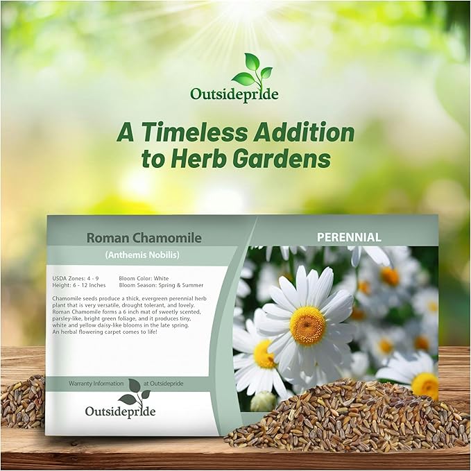 Outsidepride Roman Chamomile Seeds - 50000 Pcs Perennial, Drought Tolerant, Self-Seeding & Versatile, Herb Seeds for Planting Sweet Scented Daisy-Like Blooms, Ideal for Slopes & Pollinator Gardens