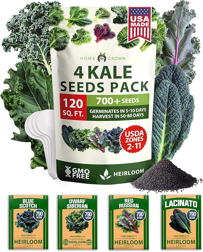 HOME GROWN 4 Kale Heirloom Vegetable Seeds for Planting Home Garden, Beans, Carrots, Peppers, Cucumber, Kale, Pepper Seeds, Tomato
