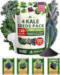 HOME GROWN 4 Kale Heirloom Vegetable Seeds for Planting Home Garden, Beans, Carrots, Peppers, Cucumber, Kale, Pepper Seeds, Tomato
