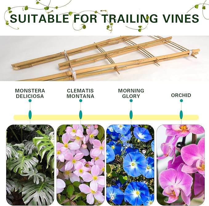Bamboo Trellis 10 Pack, 48 Inches/4FT S3 Natural Bamboo Plant Fan Stakes, Fan-Shaped Plant Support Stand for Orchid Vines, Monarchs, Ivy and Other Plants Climbing, Help Plant Growth
