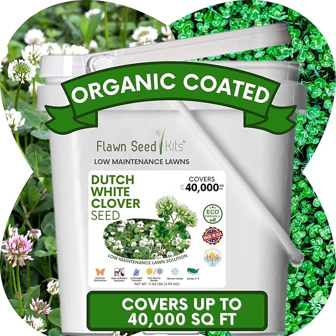 Flawn Seed Kits Dutch White Clover Seeds Organic Coated, 11 Lbs, Natural Lawn, Ground Cover, Hunting Food Plot, Covers up to 40,000 Sqft
