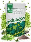 Broccoli Sprouting & Microgreens Seeds - 130,000 Non-GMO Heirloom Seed, 1lb Resealable Bag - High-Germination Broccoli Seeds for Sprouting in Jars, Soil, Hydroponics & Microgreen Trays