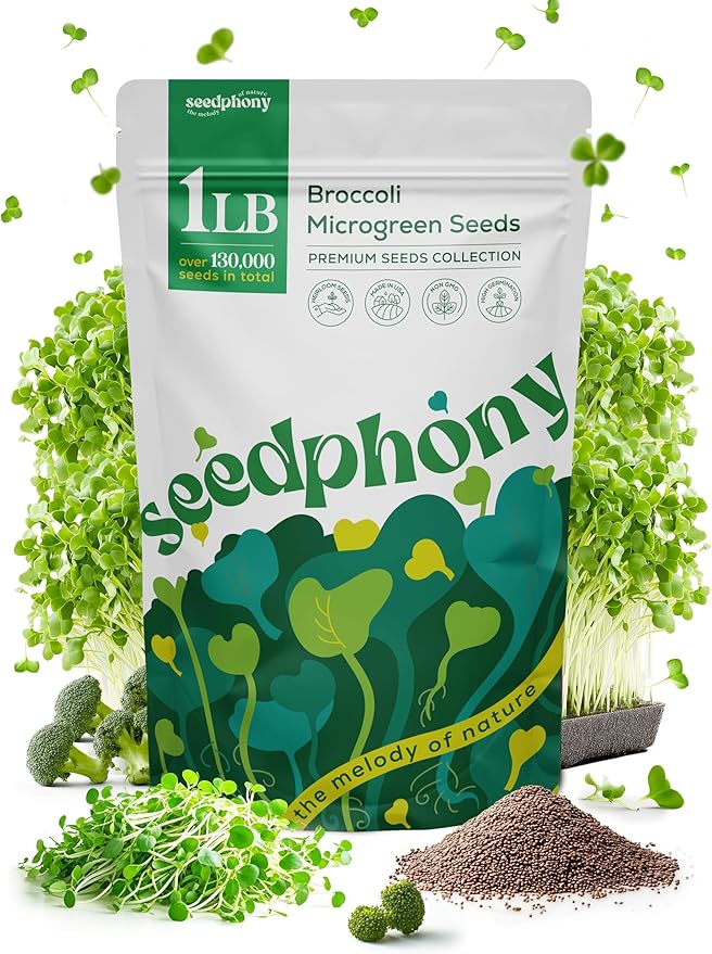 Broccoli Sprouting & Microgreens Seeds - 130,000 Non-GMO Heirloom Seed, 1lb Resealable Bag - High-Germination Broccoli Seeds for Sprouting in Jars, Soil, Hydroponics & Microgreen Trays