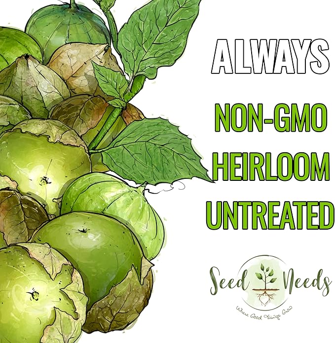 Seed Needs Tomatillo Seeds for Planting Grande Rio Verde Tomatillos - Non-GMO Heirloom & Untreated - Grow a Home Grown Outdoor Vegetable Garden - Great for Salsa & Mexican Cuisine (1 Pack)