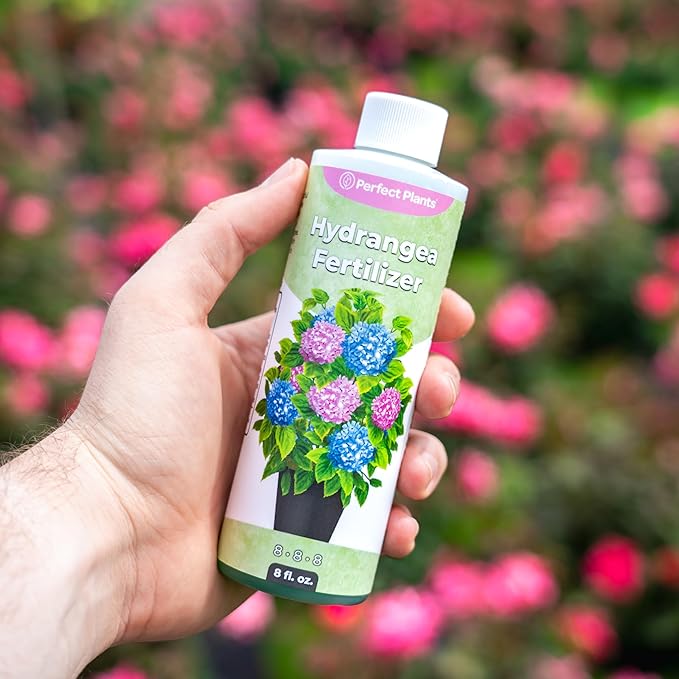 Premium Liquid Hydrangea Fertilizer by Perfect Plants | Bloom Booster | Fertilizer for Hydrangeas and Other Flowering Plants (8 fl oz)