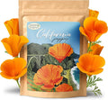 Created by Nature California Poppy Flower Seeds, 20,000 Native Wildflower Seeds, California State Flower
