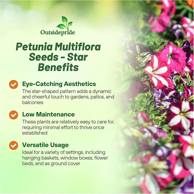 Outsidepride Star Multiflora Petunia Seeds - 1000 Pcs. Annual, Compact, Flower Seeds for Planting, Vibrant Blooms, Ideal for Garden Beds, Hanging Baskets & Container Displays