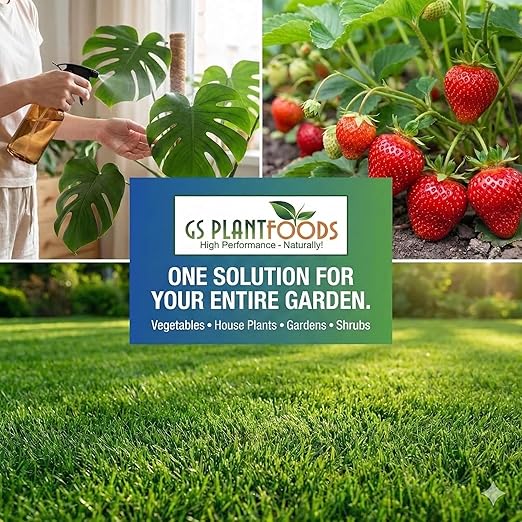 GS Plant Foods Liquid Fish & Kelp Fertilizer – (1 Gallon) Organic Material Review Institute Listed Natural Plant Food for Home Gardens, Lawns, and Vegetables