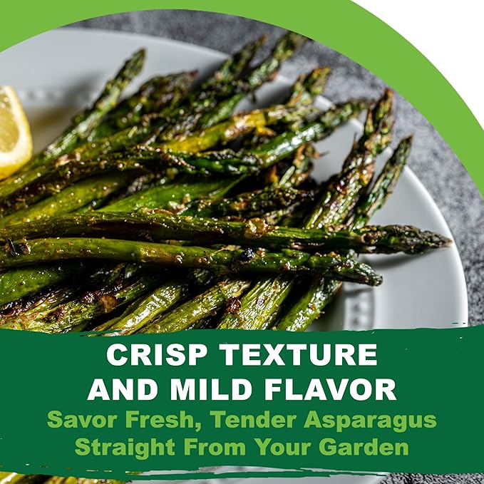 TKE Farms & Gardens - Mary Washington Asparagus Seeds for Planting, 85+ Heirloom Non-GMO Seeds, Tender Perennial Stalks with Rich Flavor, Perfect for Spring Gardens, Includes Growing Instructions