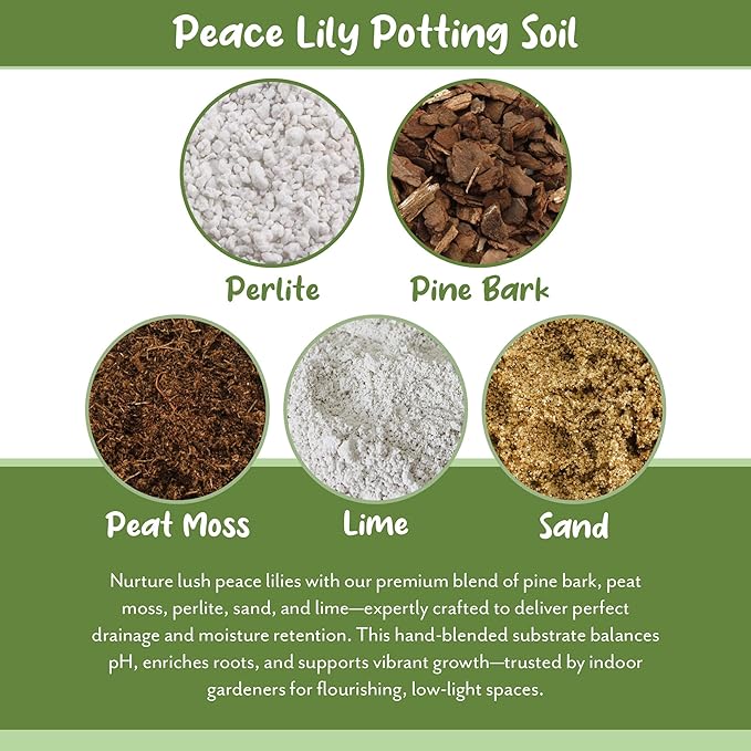 Soil Sunrise Peace Lily Potting Soil Mix (8 Quarts) for Planting, Growing, or Repotting Peace Lily Plants