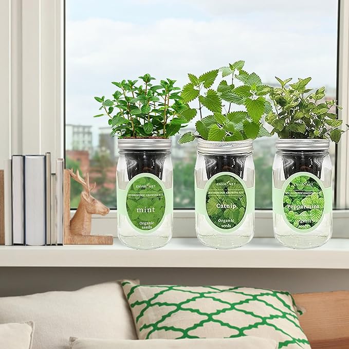 Hydroponic Herb Growing Kit Set, Self-Watering Mason Jar Herb Garden Starter Kit Indoor, New Christmas Gift for Mom (Mint, Peppermint & Catnip)