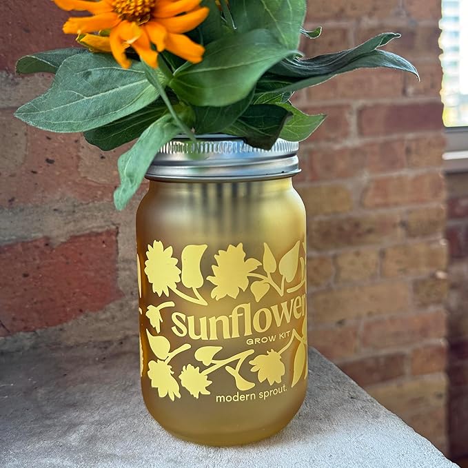Modern Sprout Mason Garden Jar - Self-Watering Hydroponics Growing System Kit with Organic Herb Seeds - Jar Planter for Indoor Herb Garden - Seed Starter Kit - Easter Gifting -Basil+Lavender+Sunflower