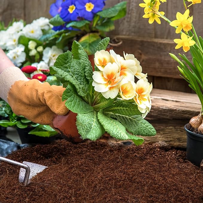 ZeeDix 150pcs 30mm Coco Coir Pellets Potting Soil, Organic Coconut Fiber Seed Starter Soil Pellets, Coconut Coir Soil Discs for Indoor Outdoor Plants, Herbs Houseplants Flowers Succulents Vegetables