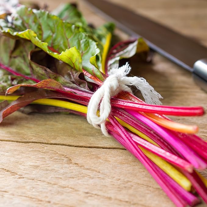 Back to The Roots 100% Organic Seed Packet - Swiss Chard 'Rainbow Mix' 210mg