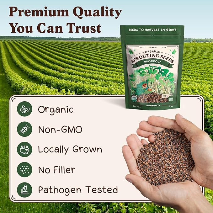 Seedboy Organic Non-GMO Broccoli Seeds for Sprouting - USA Grown Microgreens Sprouting Seeds - 8 oz Bag Makes 8 Quarts / 24 Servings (Di Cicco Broccoli)