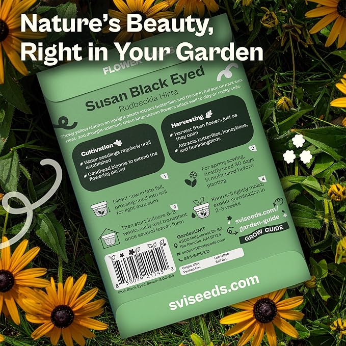 SVI 7500 Black Eyed Susan Seeds (Rudbeckia Hirta) – Black-Eyed Susan Wildflower Seed Packets Bulk, Rudbeckia – Daisy Flower Seeds for Outside & Indoor Flower Garden Containers