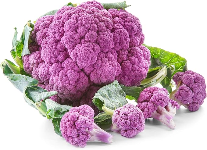 Cauliflower Seeds - Violetta Italia - 0.25 Oz ~2,250 Seeds - Brassica oleracea VAR. botrytis - Farm & Garden Vegetable Gardening & Microgreens Seed - Non-GMO, Heirloom, Open Pollinated, Annual