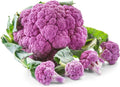 Cauliflower Seeds - Violetta Italia - 4 Oz ~36,000 Seeds - Brassica oleracea VAR. botrytis - Farm & Garden Vegetable Gardening & Microgreens Seed - Non-GMO, Heirloom, Open Pollinated, Annual
